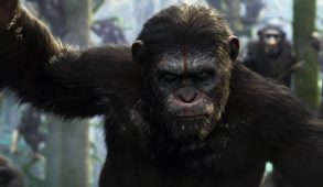 Dawn of the Planet of the Apes': Other Monkey and Ape Movies – The  Hollywood Reporter