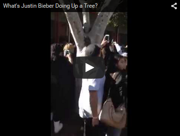 Justin Bieber Up A Tree During Hillsong Conference