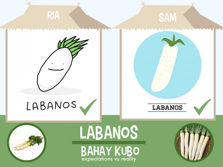 Bahay Kubo vegetables