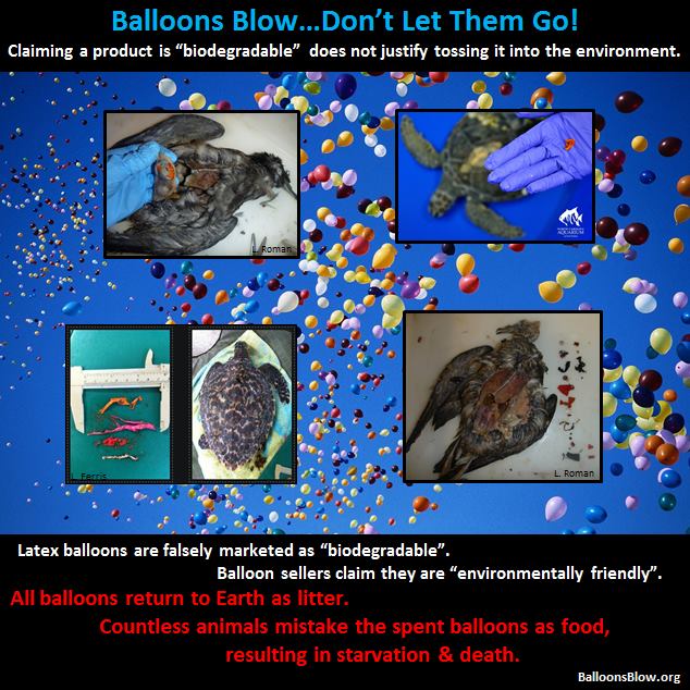 Damage caused by balloon and sky lantern releases