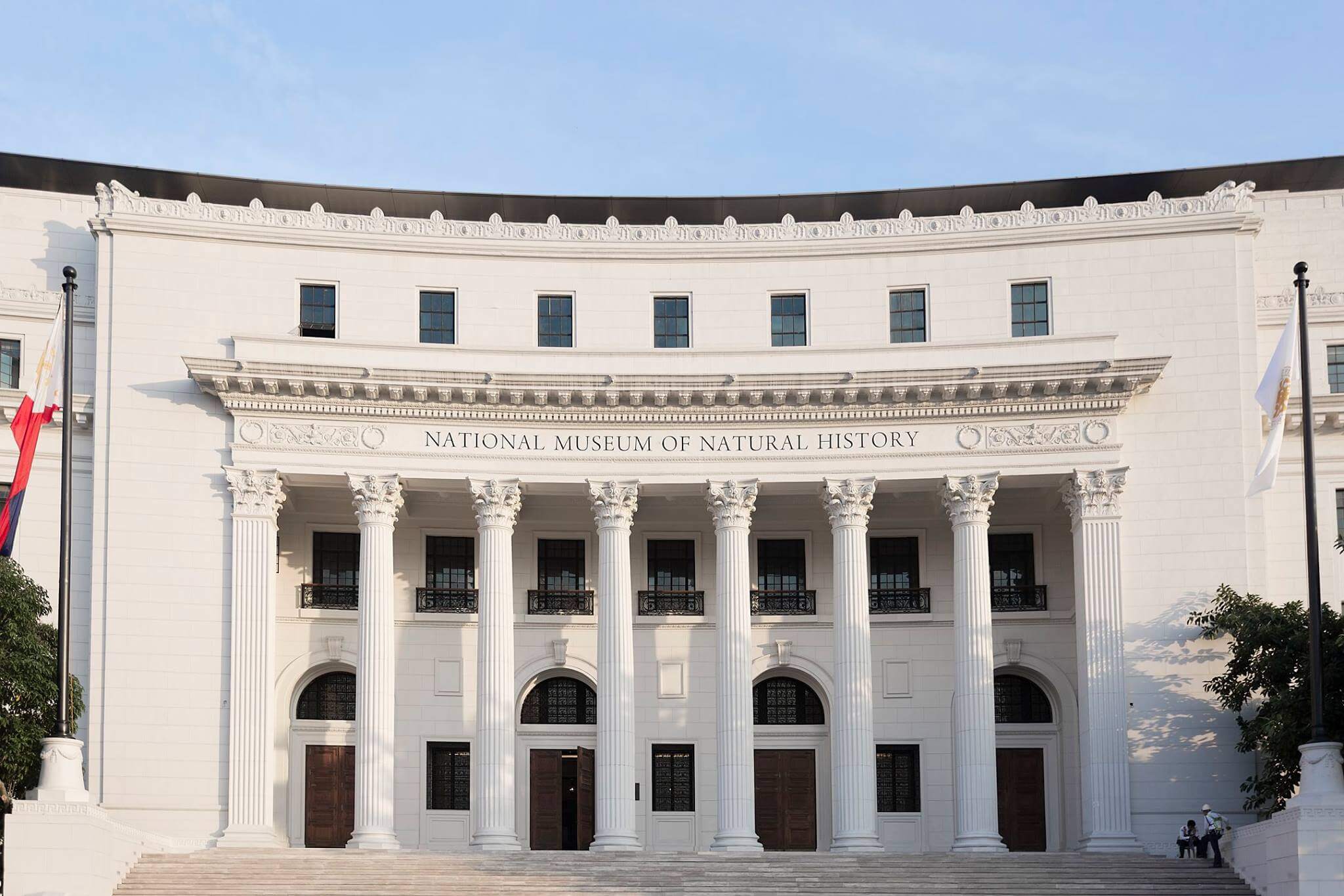 ANNOUNCEMENT National Museum Of Natural History Opens On May 18 2018 