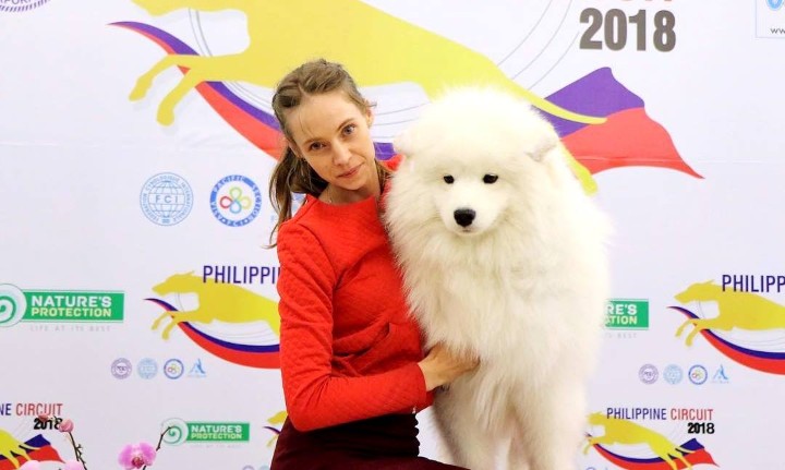 10 Photos Of Super Cute Dogs At One Of The Philippines Biggest Dog Shows When In Manila