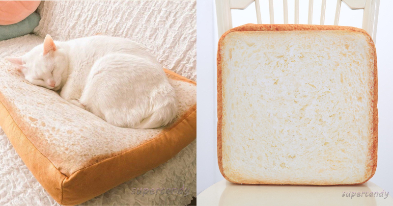 These Cat Beds That Look Like Slices Of Toast Are A *knead*! - When In 