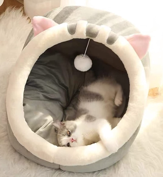 9 Super Cute Accessories Your Cat Will Love - When In Manila