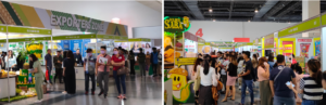 16th Philippine Food Expo