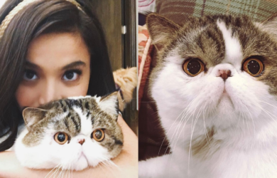 Anne Curtis with her cat Mogwai