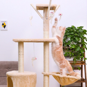 Cat tower lazada