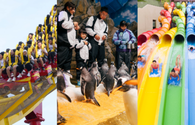 A Guide to Ocean Park Hong Kong: Animal Encounters, Thrilling Rides, Water Adventures, and a Whole Lot of Fun