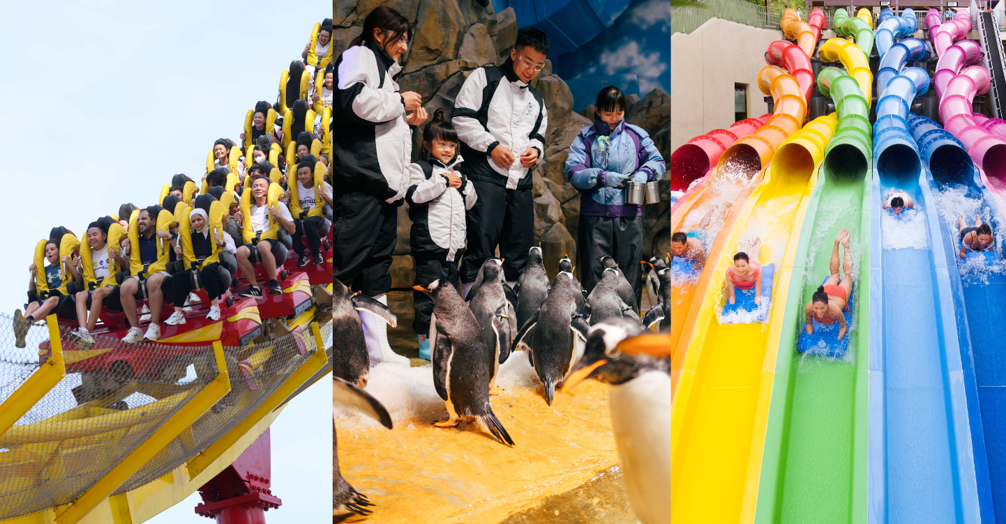 A Guide to Ocean Park Hong Kong: Animal Encounters, Thrilling Rides, Water Adventures, and a Whole Lot of Fun