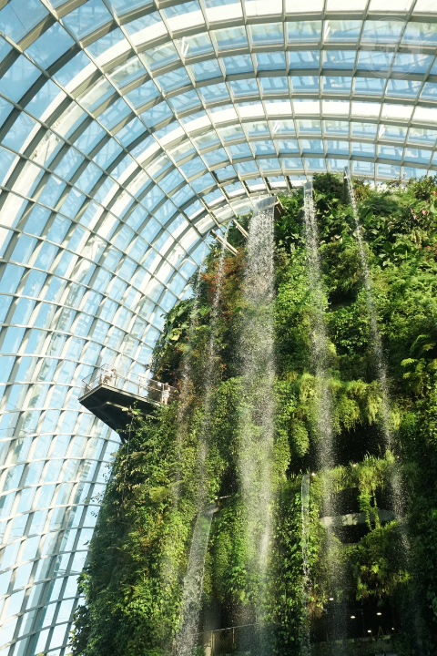 cloud forest singapore 2