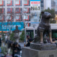 hachiko shibuya darel low unsplash stock