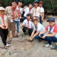 Scouts reforest the mangrove area of Barangay Imelda in San Juan Batangas