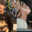 bts v yeontan