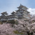 japan hiroshima castle sakura cherry blossom pixabay