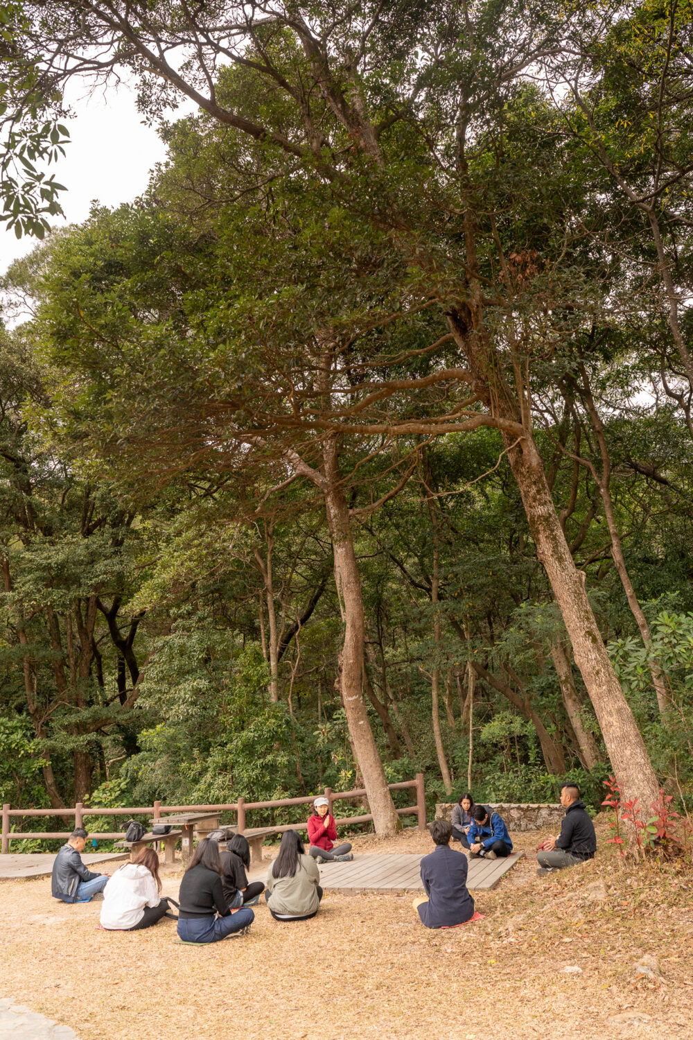 Activities in Hong Kong Tai Mo Shan Country Park Forest Bathing_Invitation